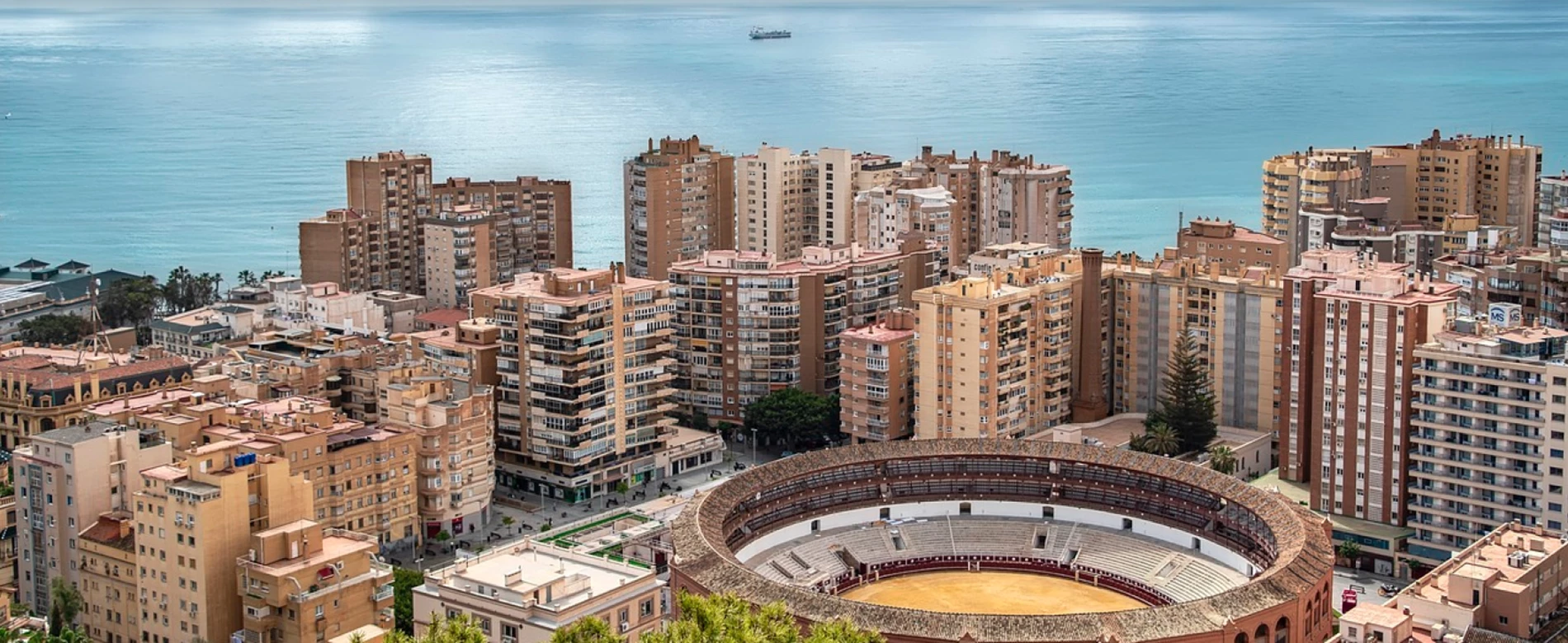 خدمات بنیدوس